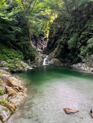 teich